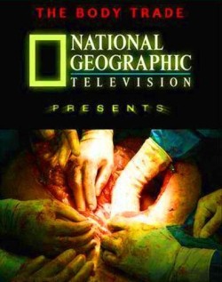 Смотреть Смотреть National Geographic: Взгляд изнутри. Торговля органами (2006) HD онлайн онлайн