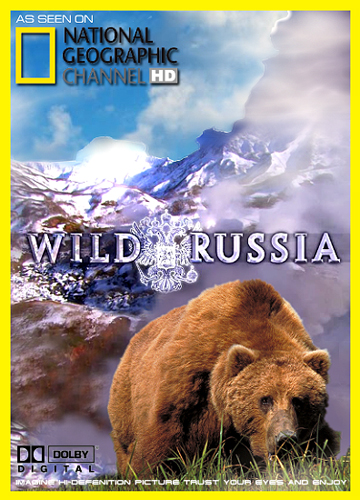 Смотреть National Geographic Дикая природа России - Камчатка (2009) hd-720 онлайн