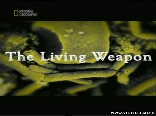 Смотреть Живое оружие / The Living Weapon (2007) онлайн