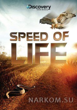 Смотреть Скорость жизни 1 сезон (2010) HD 720 (смотреть документальное кино онлайн) онлайн