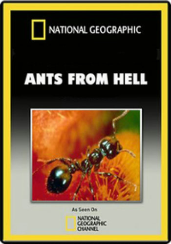 Смотреть Эти хищные муравьи / National Geographic онлайн