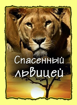 Смотреть National Geographic: Спасённый львицей (2011) HD онлайн