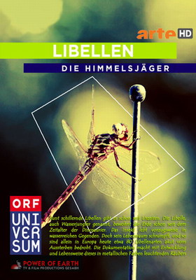 Смотреть Небесные охотники. Мир стрекоз / Libellen. Die Himmelsjaeger (2010) смотреть онлайн онлайн