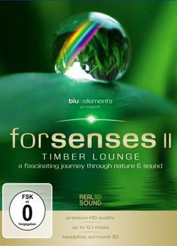 Смотреть Для чувств 2 (2011) в HD онлайн