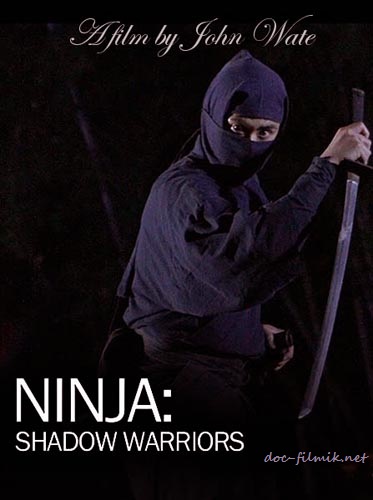 Смотреть Ниндзя: воины-тени / Ninja: Shadow Warriors (2011) онлайн