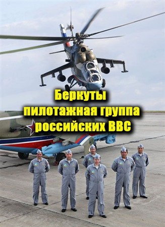 Смотреть Беркуты - пилотажная группа российских ВВС (2012) онлайн