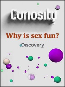 Смотреть Почему? За что мы любим секс? онлайн