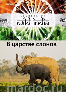 Смотреть Тайны дикой природы Индии - В царстве слонов онлайн