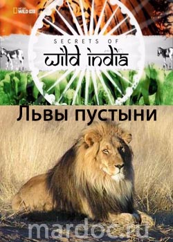 Смотреть Тайны дикой природы Индии - Львы пустыни онлайн