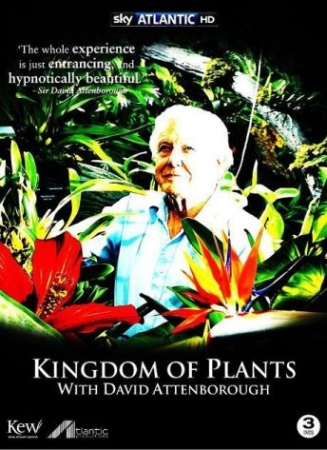 Смотреть Царство растений онлайн