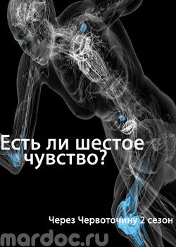 Смотреть Существует ли интуиция? онлайн